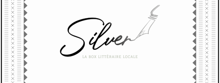 logo silver box