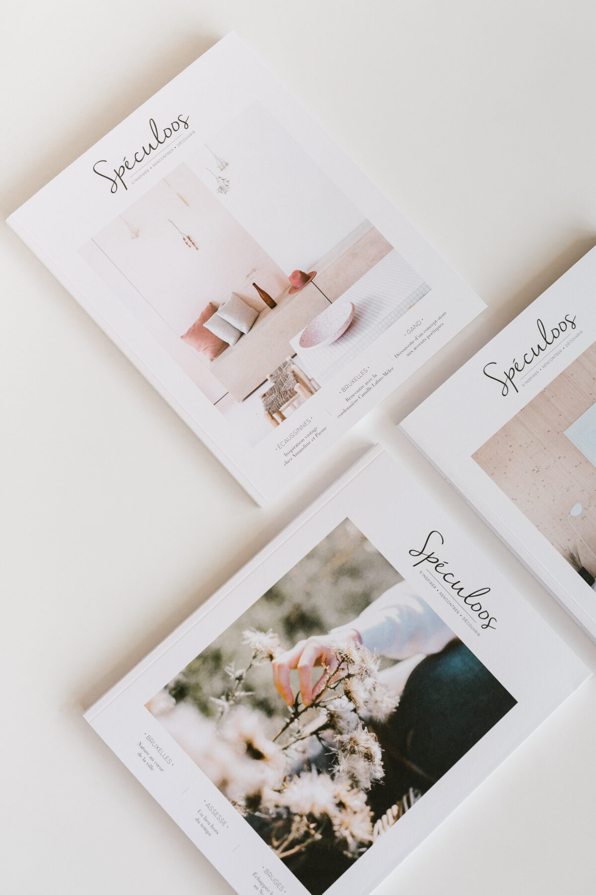 spéculoos magazine