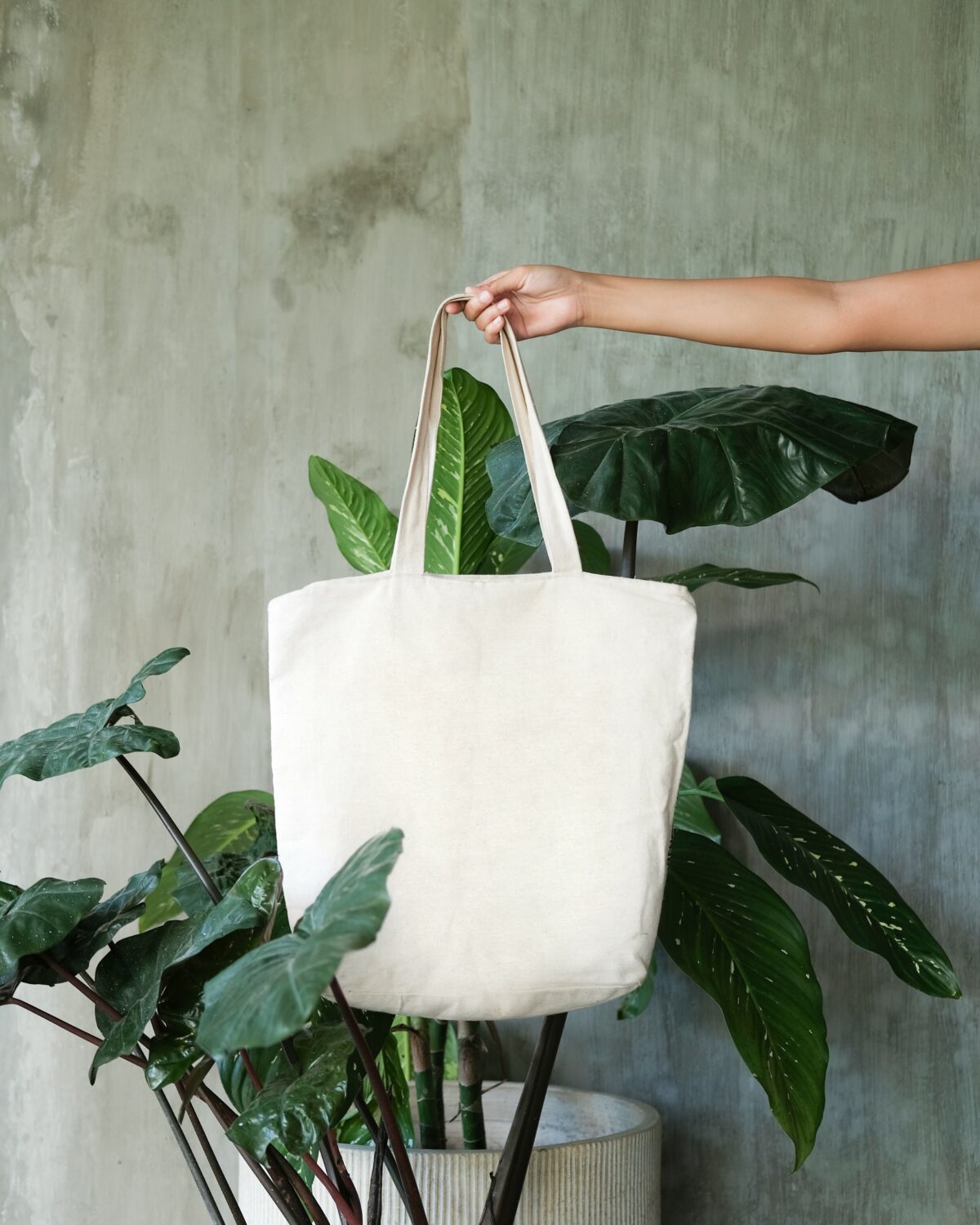 tote bag blanc fausses bonnes idées écolo