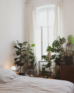 chambre à coucher, plante, ventilateur, rester au frais sans air conditionné