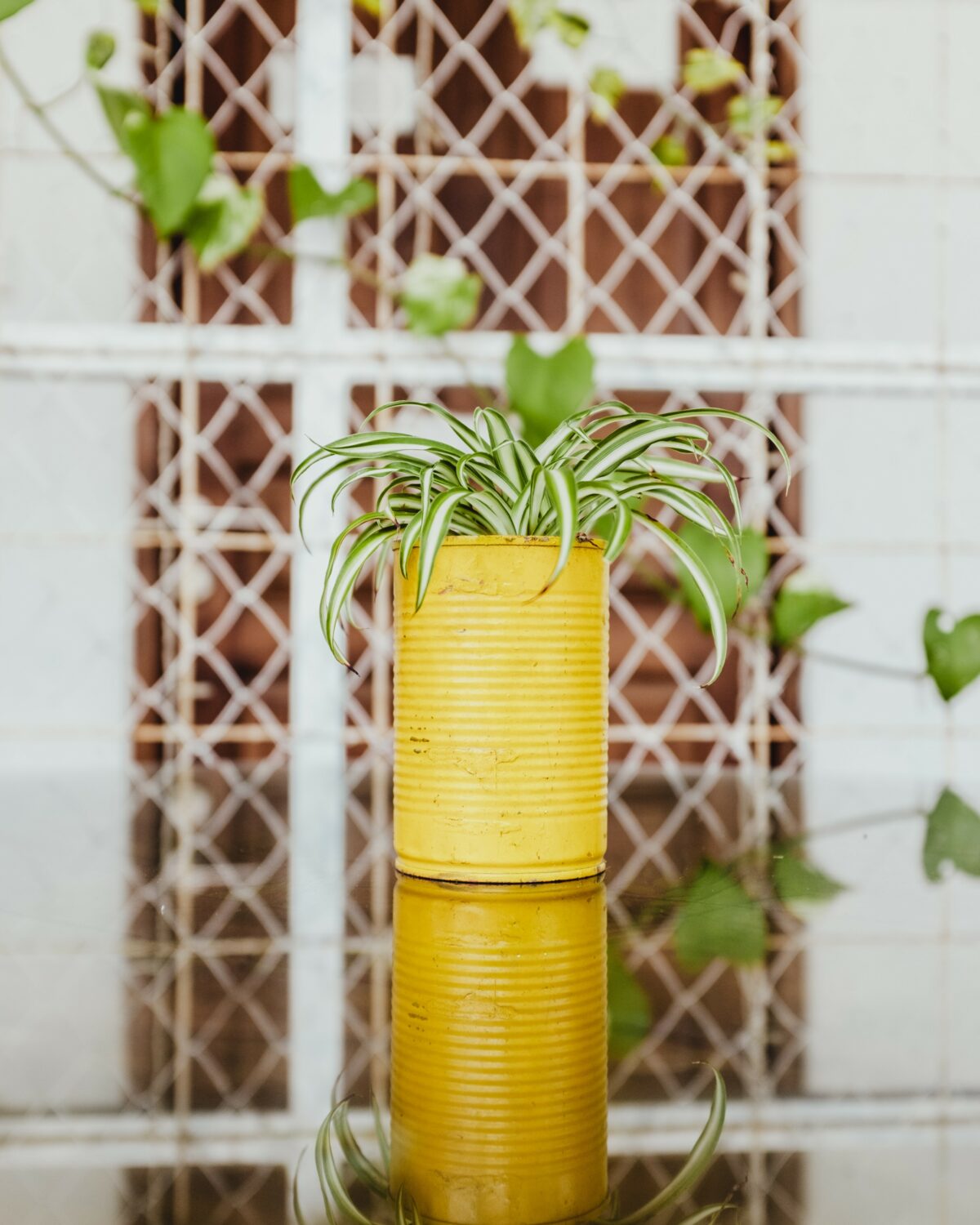 conserve diy objet du quotidien à ne plus jeter