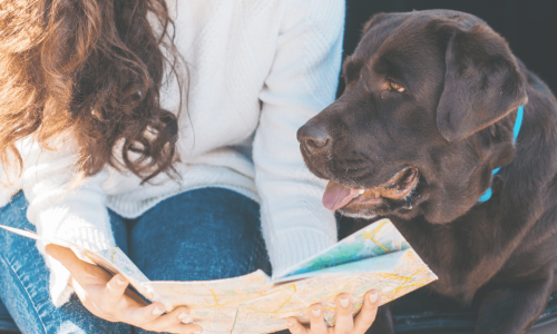 femme carte voyager avec son chien