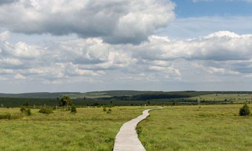 hautes fagnes, parcs naturels wallonie, belgique